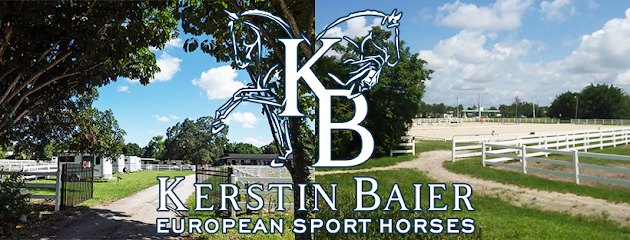European Sport Horses