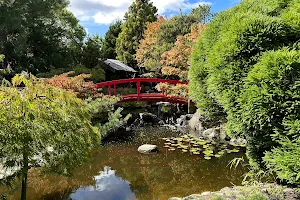 Royal Tasmanian Botanical Gardens image