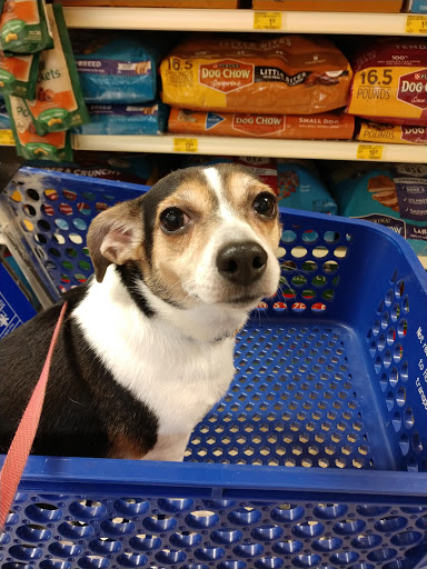 Pet Supply Store «PetSmart», reviews and photos, 263 Midway Blvd, Elyria, OH 44035, USA