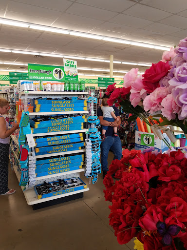 Dollar Store «Dollar Tree», reviews and photos, 3400 W Nolana Ave, McAllen, TX 78504, USA