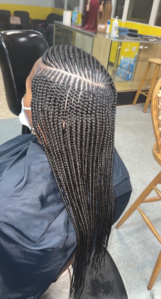 African Braid Masters 23605