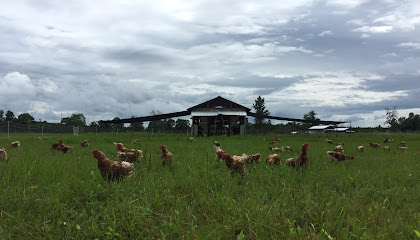 Bethesda Farm
