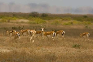 Shirvan National Park image