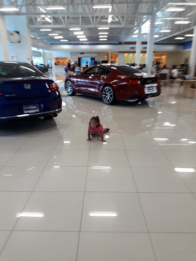 Used Car Dealer «CarMax», reviews and photos, 14920 N Nebraska Ave, Tampa, FL 33613, USA