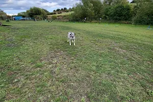 Unleashed Dog Park - Pontefract image