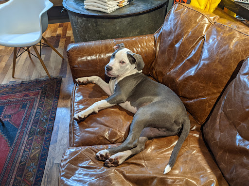 Sporting Goods Store «Burton Flagship Store», reviews and photos, 1630 Haight St, San Francisco, CA 94117, USA