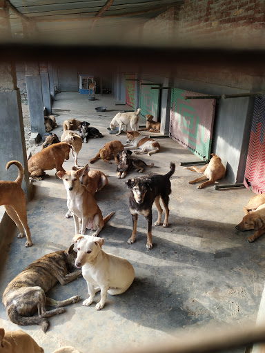Kalyani Animal Welfare Foundation