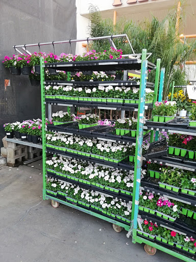 Home Improvement Store «The Home Depot», reviews and photos, 1055 W 21st St, San Bernardino, CA 92405, USA