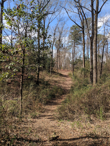 Park «Bowers Park Disc Golf Course», reviews and photos, Bowers Park Dr, Tuscaloosa, AL 35405, USA