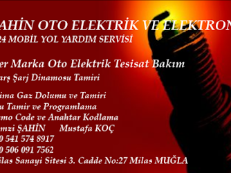 ŞAHİN OTO ELEKTRİK VE ELEKTRONİK