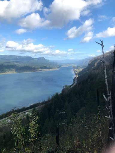 Tourist Attraction «Fairy Falls», reviews and photos, Wahkeena Trail #420, Corbett, OR 97019, USA
