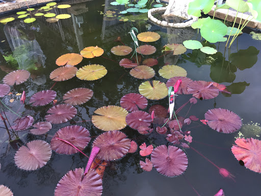 Pet Store «Fins Feathers Paws & Claws», reviews and photos, 436 Main St, Harleysville, PA 19438, USA