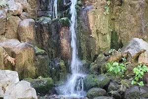 SweetBriar Falls image