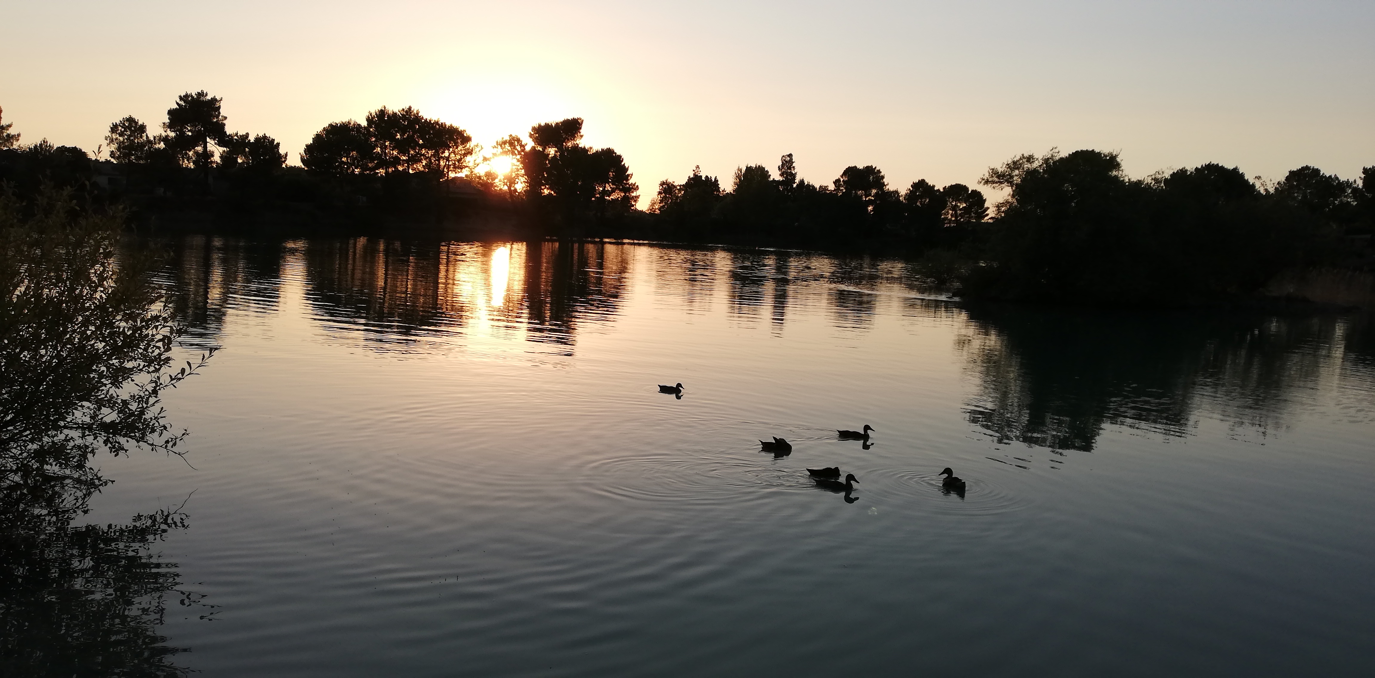 Photo n° 3 de l'avis de PAT. fait le 12/08/2020 à 11:18