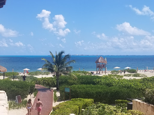 Travel Agency «New World Travel Adventure Inc», reviews and photos, 2460 Main St, Springfield, MA 01107, USA