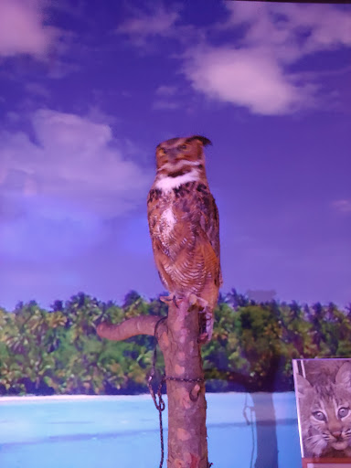 Aquarium «Via Aquarium», reviews and photos, 93 W Campbell Rd, Schenectady, NY 12306, USA