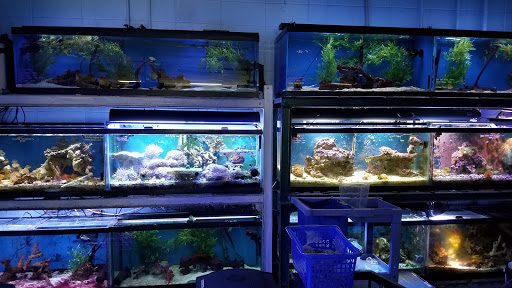 Pet Store «Fish 4 U», reviews and photos, 4010 Highland Dr #1, Millcreek, UT 84124, USA