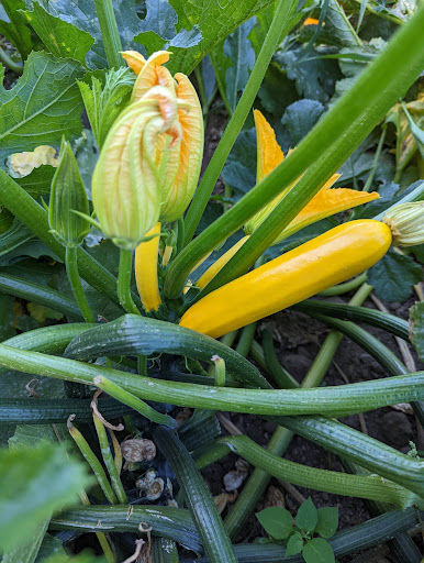 Produce Market «Underwood Family Farms», reviews and photos, 3370 Sunset Valley Rd, Moorpark, CA 93021, USA