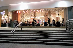 Tong Yang Plus image