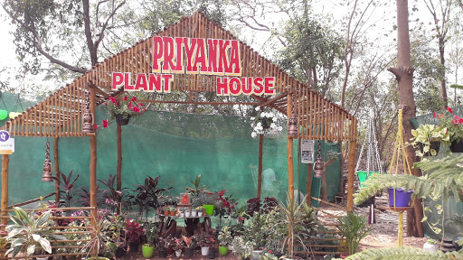 Priyanka plant house