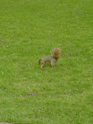 Park «Jefferson Park», reviews and photos, 3501-3691 W 133rd St, Cleveland, OH 44111, USA