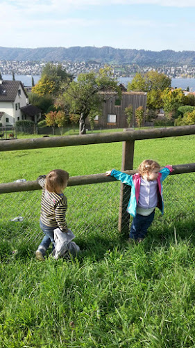 Kinderkrippe "Feldegger Stadtzwerge" - Zürich