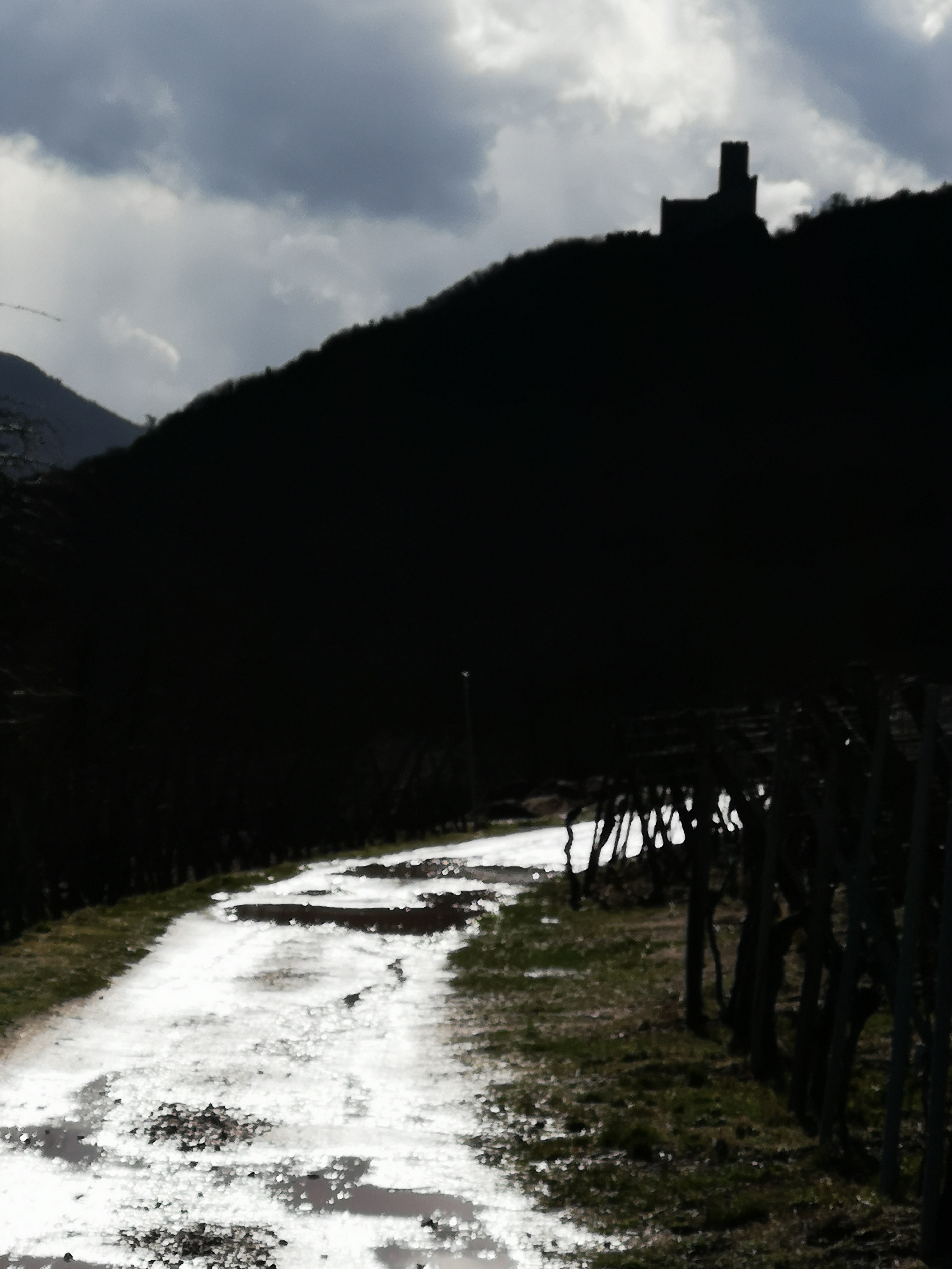 Photo n° 2 de l'avis de william.a fait le 10/03/2019 à 16:43