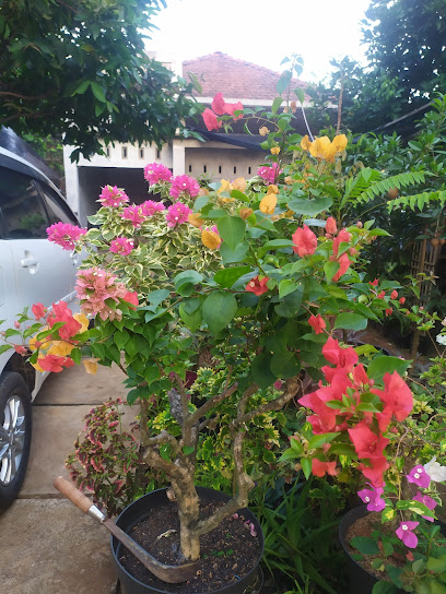 ibunga florist jepara