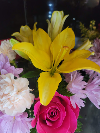 Florist «Exotica Florist», reviews and photos, 10376 Main Street, Fairfax, VA 22030, USA