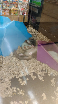 Petco - Photo 6 - Car repair in Brooksville, FL, Spring Hill