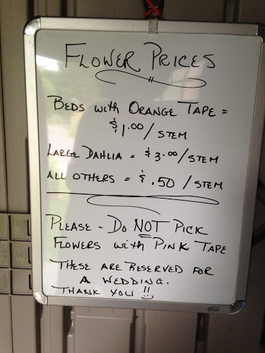 Florist «Take Your Pick Flower Farm», reviews and photos, 138 Brickyard Rd, Lansing, NY 14882, USA