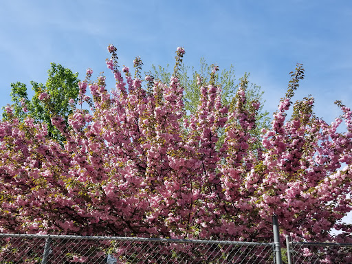 Art Supply Store «Artist & Craftsman Supply Bushwick», reviews and photos, 1449 Broadway, Brooklyn, NY 11221, USA