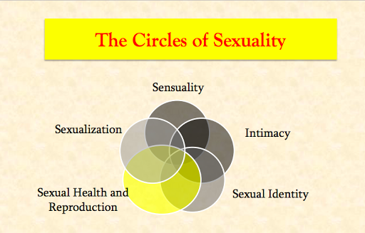 Minnesota Sexual Health Institute: Sex Therapy & Sexual Health Training