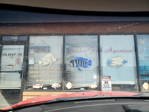 Tropical Fish Store «Golden Fish Aquariums», reviews and photos, 7145 W Colfax Ave, Lakewood, CO 80214, USA