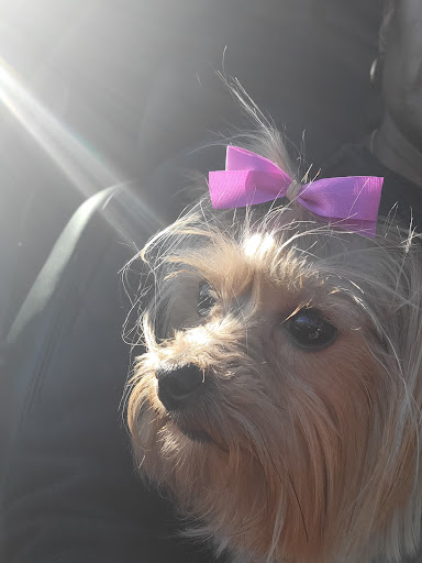 Pet Supply Store «Petco Animal Supplies», reviews and photos, 300 Hylan Dr, Rochester, NY 14623, USA