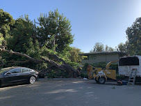 Meadow Landscape - Photo 4 - Car repair in Costa Mesa, CA, Santa Ana