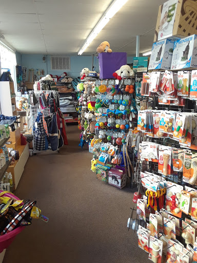 Pet Store «Worldly Pets Outlet», reviews and photos, 112 Pleasant St, Marblehead, MA 01945, USA