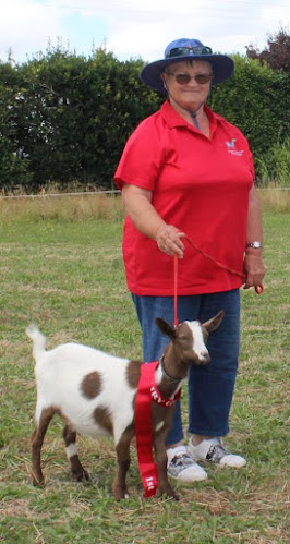 Comments and reviews of Nigerian Dwarf Dairy Goats NZ