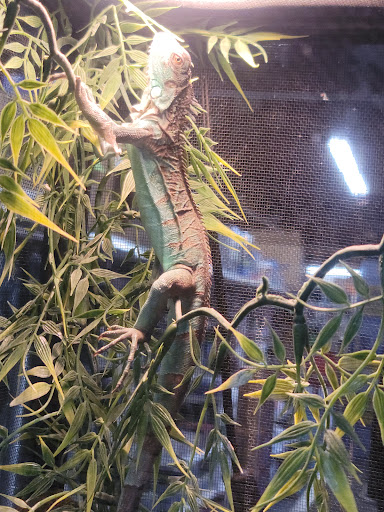 Pet Supply Store «Valley Feed», reviews and photos, 1486 Freedom Blvd, Watsonville, CA 95076, USA