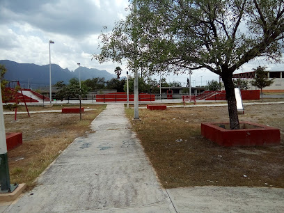 Skatepark - Aldama, El Carmen