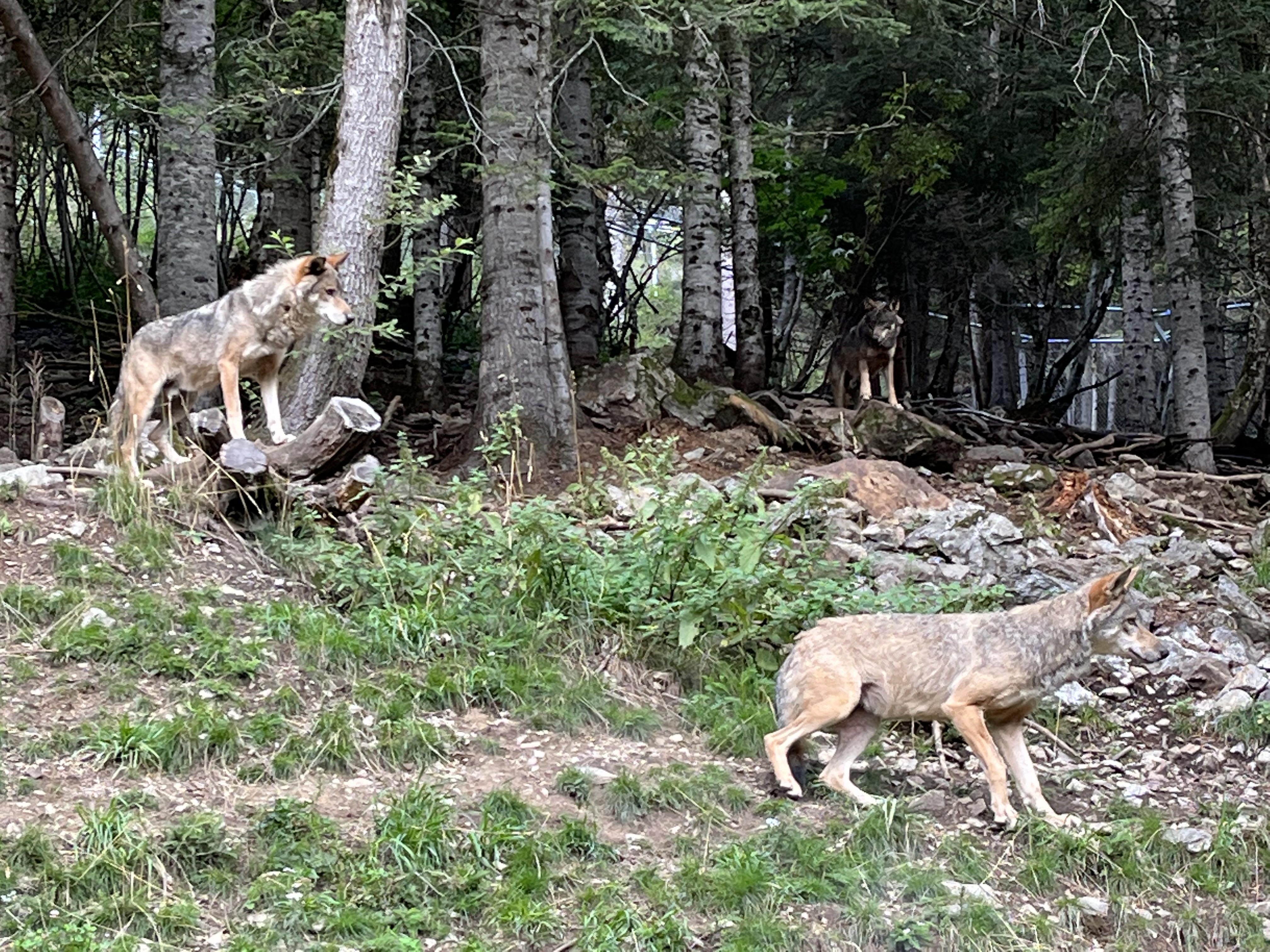 Photo n° 3 de l'avis de Jean.a fait le 28/08/2022 à 08:00