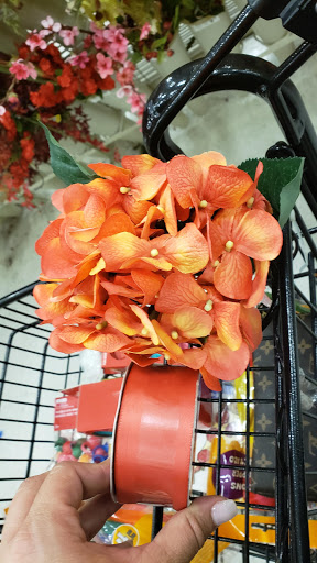 Craft Store «Michaels», reviews and photos, 1245 NY-300 #1, Newburgh, NY 12550, USA