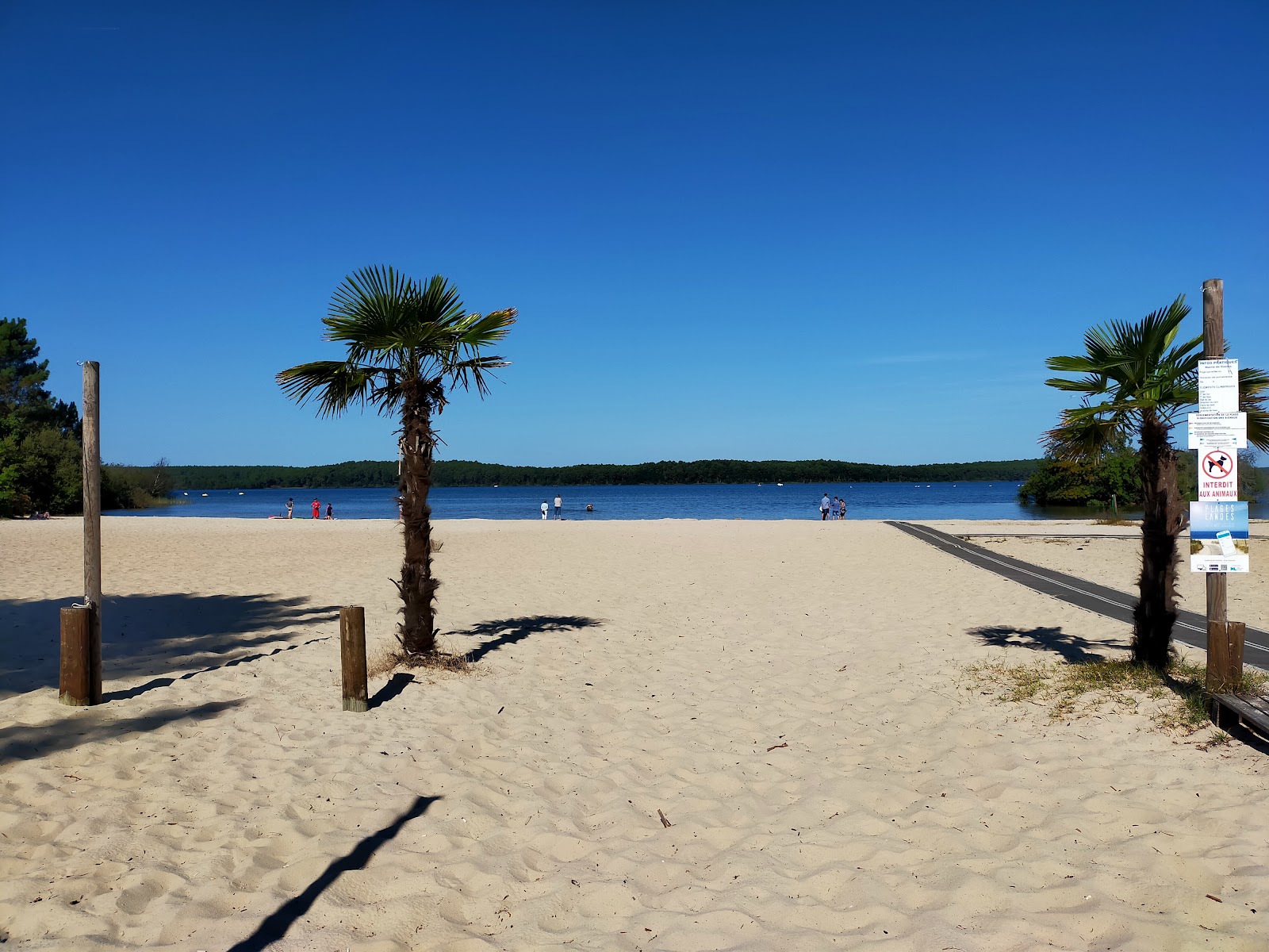 Plage Gaillard'in fotoğrafı çok temiz temizlik seviyesi ile