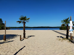 Plage Gaillard'in fotoğrafı çok temiz temizlik seviyesi ile