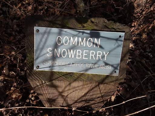 Nature Preserve «Effie Yeaw Nature Center», reviews and photos, 2850 San Lorenzo Way, Carmichael, CA 95608, USA