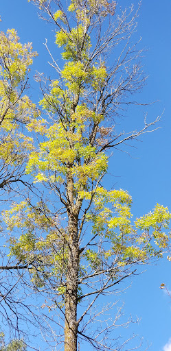 Zoo «Lake Superior Zoo», reviews and photos, 7210 Fremont St, Duluth, MN 55807, USA