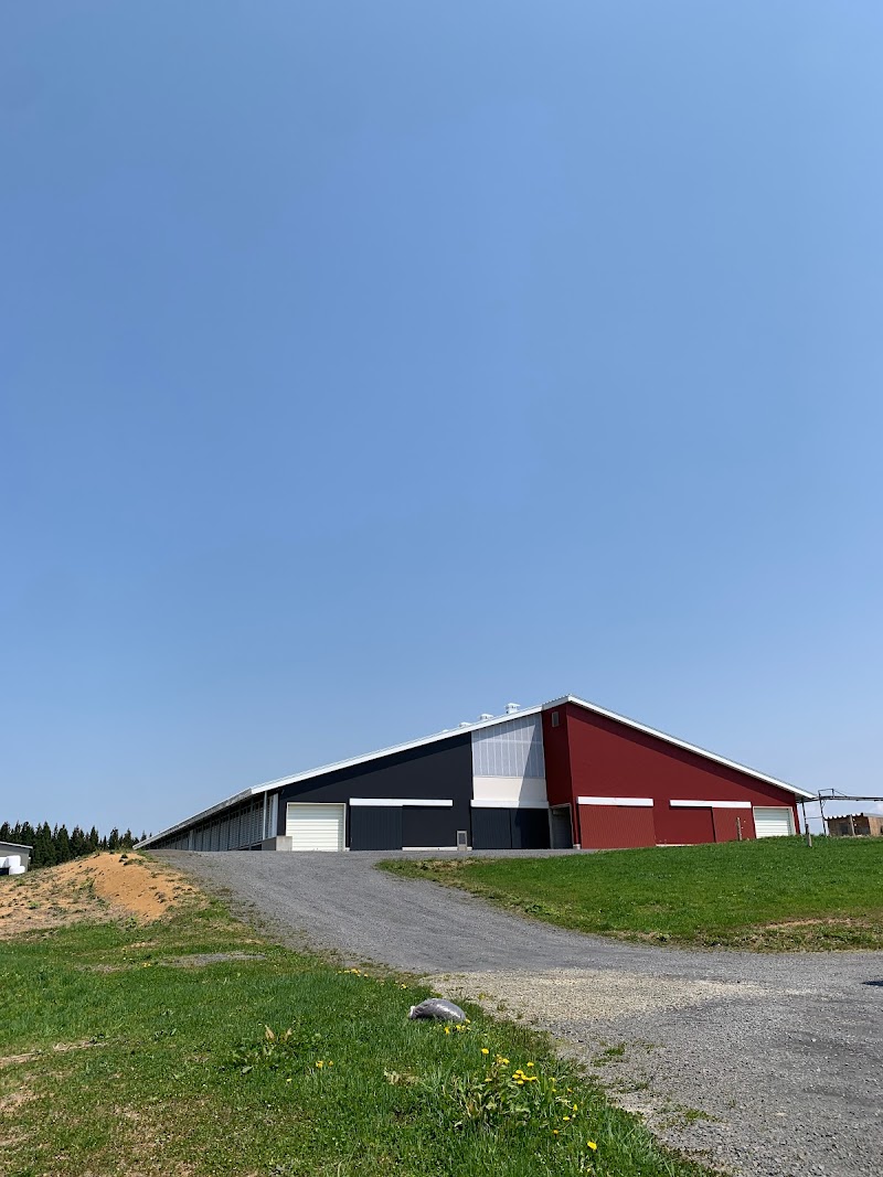 鳥海高原花立牧場放牧場