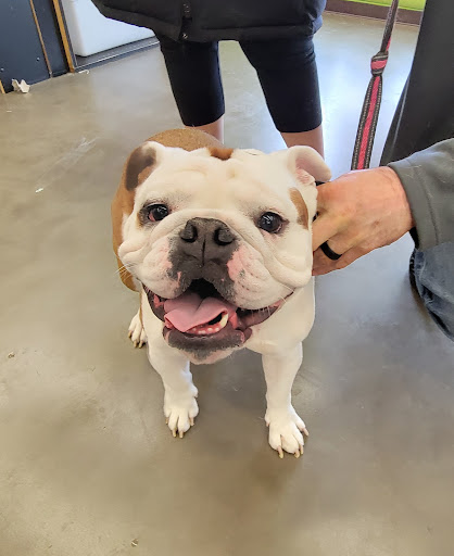 Pet Supply Store «Pet Supplies Plus», reviews and photos, 20020 Ashbrook Commons Plaza #150, Ashburn, VA 20147, USA