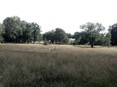 Itinérance, atelier de paysage à Rambouillet