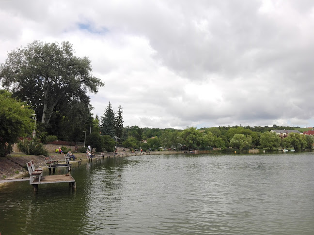 Opinii despre Velence Dental Kft în Velence - Fogászat